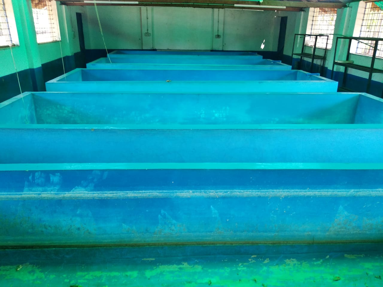 Aquaculture Img 6